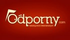 Katalog stron internetowych
