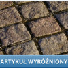 kostka brukowa