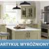 projekt kuchni